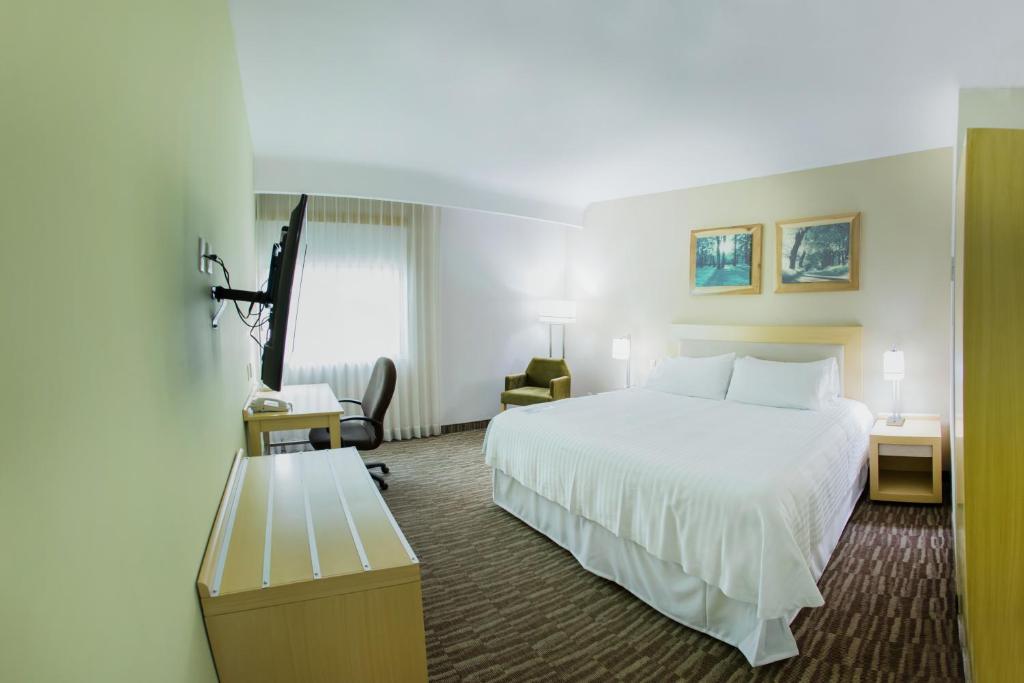 Hotel Excellence (HOTEL SEDE)