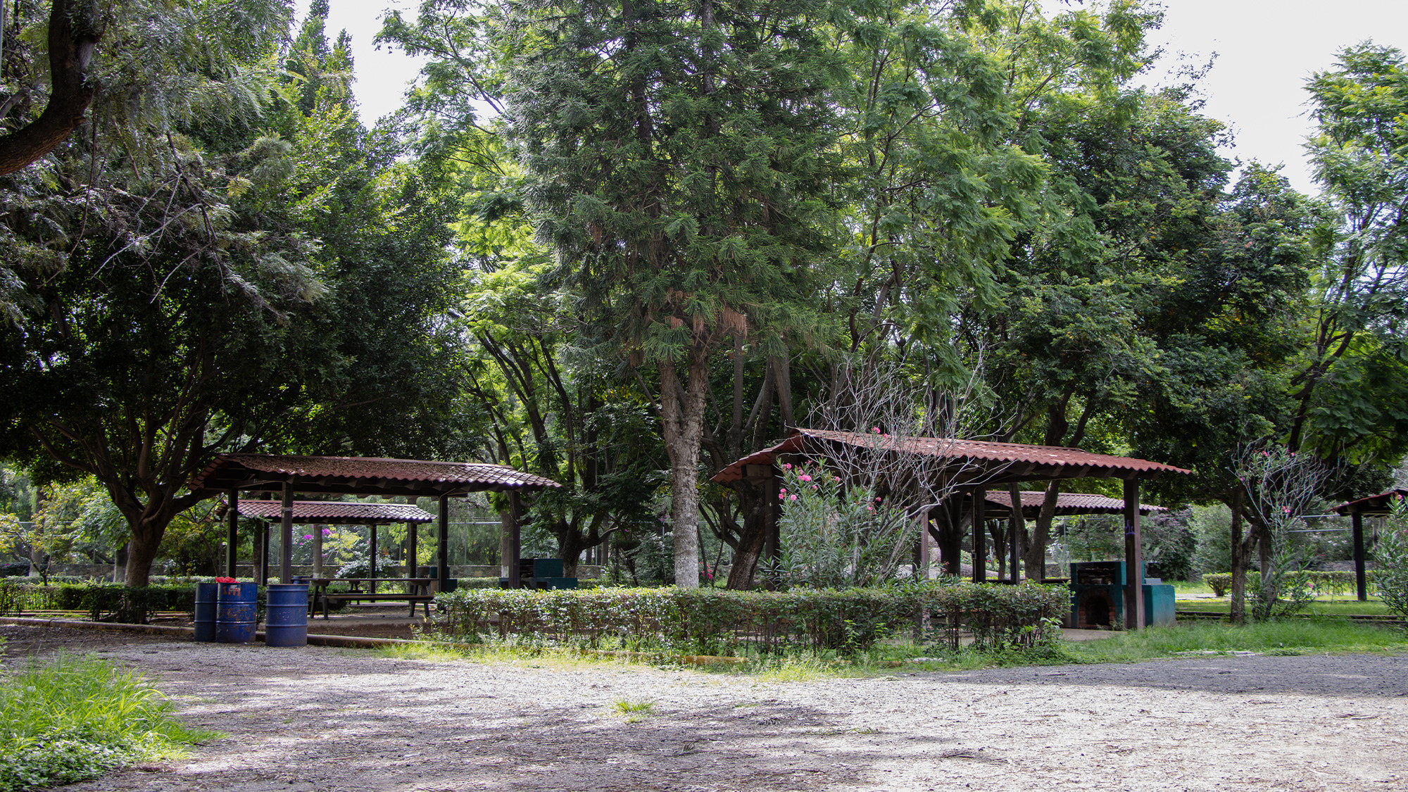 Lugar 7